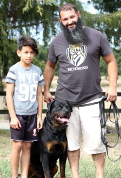 Breeding Working Rottweilers in Australia