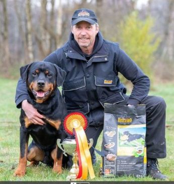 Breeding Working Rottweilers in Australia